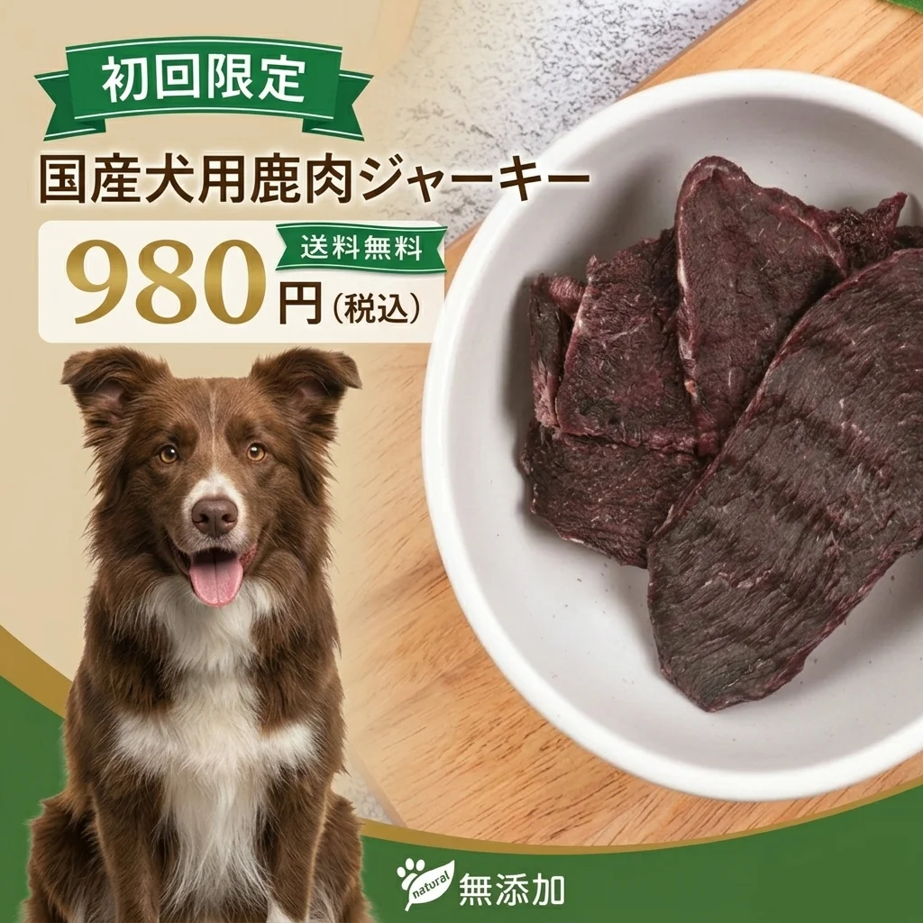 犬用鹿肉ジャーキーをお得にお試し｜初回限定980円送料無料サンプルセットの中身と賢い活用法